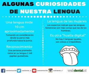 Algunas Curiosidades De Nuestra Lengua Webdental Cl Noticias De