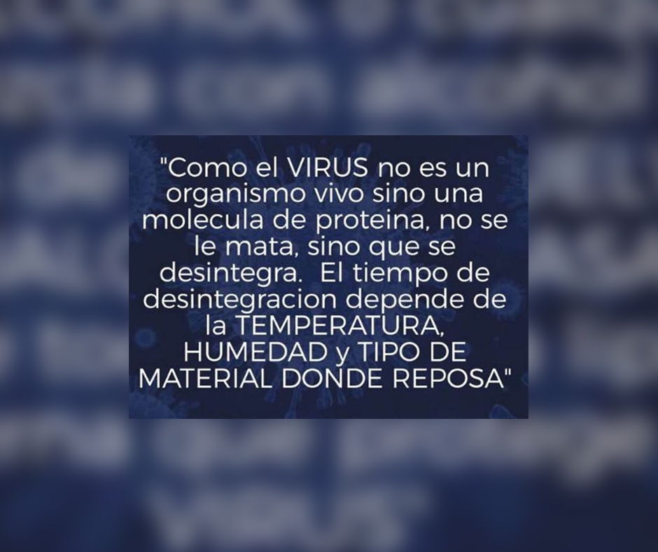 COVID-19_motzfeld-10