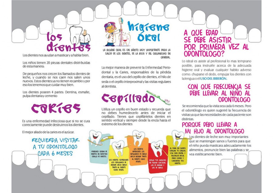 Ministerio De Salud Y Programas De Salud Oral Webdentalcl Noticias De Odontologia 6460