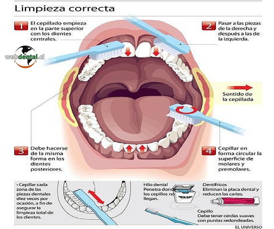 limpieza dental correcta - blog