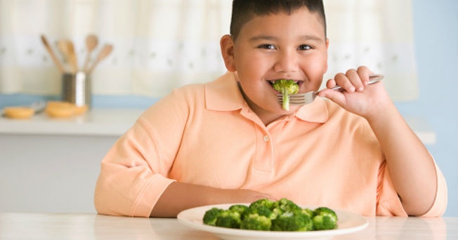 La obesidad puede influir en los tratamientos de ortodoncia en niños |  webdental.cl | Noticias de Odontologia